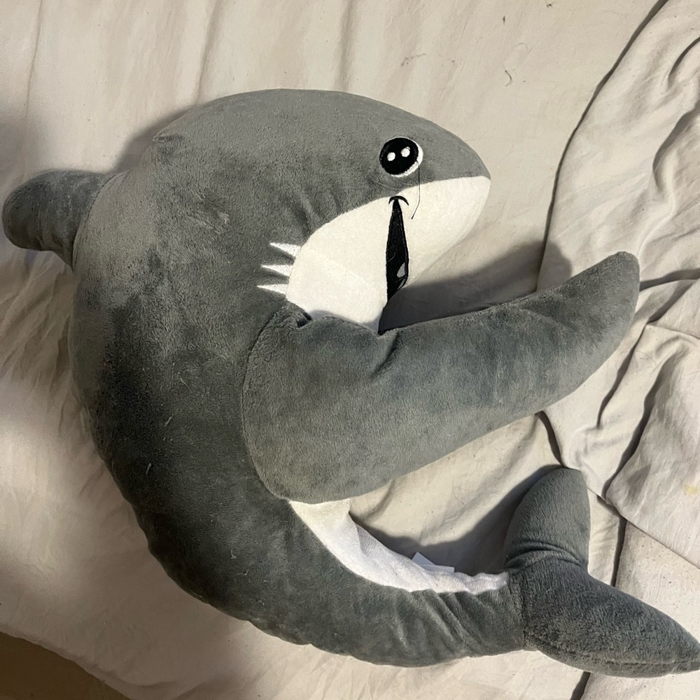 gray velcro shark
